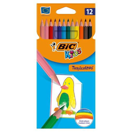 Picture of BIC Kids Colouring Pencils X 12